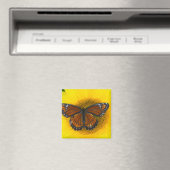 Ein Viceroy Butterfly | Limenitis Archippus Magnet (In Situ (Geschirrspüler))