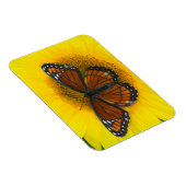 Ein Viceroy Butterfly | Limenitis Archippus Magnet (Rechte Seite)