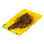Ein Viceroy Butterfly | Limenitis Archippus Magnet (Linke Seite)