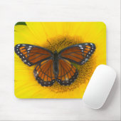 Ein Viceroy Butterfly | Limenitis Archippus Mousepad (Mit Mouse)