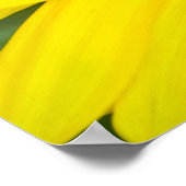Ein Viceroy Butterfly | Limenitis Archippus Poster (Ecke)