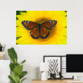 Ein Viceroy Butterfly | Limenitis Archippus Poster (Heimbüro)