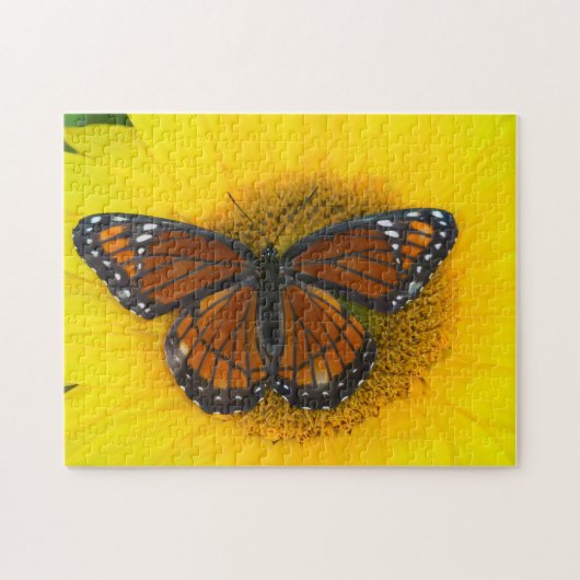Ein Viceroy Butterfly | Limenitis Archippus Puzzle (Horizontal)