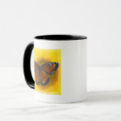 Ein Viceroy Butterfly | Limenitis Archippus Tasse (Vorderseite Links)