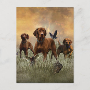 Ein vielseitiger Aristokrat in Ungarisch Vizsla Feiertagspostkarte