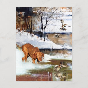 Ein vielseitiger Aristokrat in Ungarisch Vizsla Feiertagspostkarte