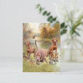 Ein vielseitiger Aristokrat in Ungarisch Vizsla Postkarte (Stehend Vorderseite)