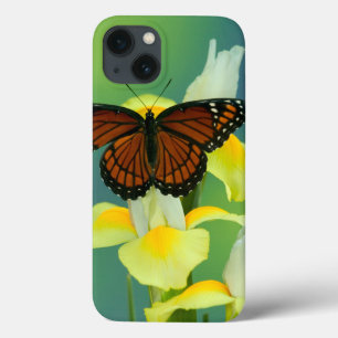 Ein Vizekönig-Schmetterling auf einer gelben Case-Mate iPhone Hülle