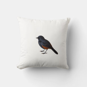 Ein Vogel auf einem Wurfkissen Kissen