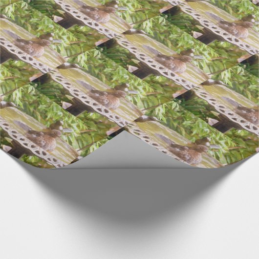 Ein Vogel im Bad Geschenkpapier (Ecke)