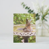 Ein Vogel im Bad Postkarte (Stehend Vorderseite)