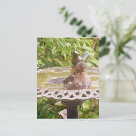 Ein Vogel im Bad Postkarte (Stehend Vorderseite)