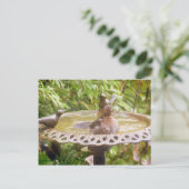 Ein Vogel im Bad Postkarte (Stehend Vorderseite)