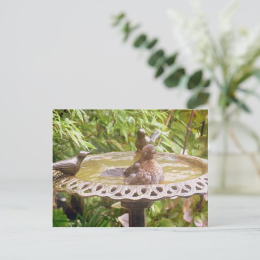 Ein Vogel im Bad Postkarte (Stehend Vorderseite)