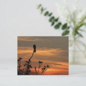 ein Vogel im Baum bei Sonnenuntergang Postkarte (Stehend Vorderseite)