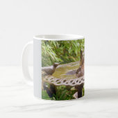 Ein Vogel in der bath-Tasse Kaffeetasse (Vorderseite Links)
