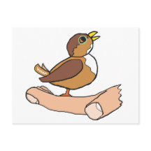 Ein Vogel in der Hand