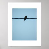 Ein Vogel/Poster Poster (Vorne)