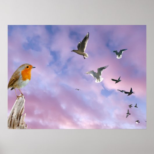 Ein Vogel schaut auf den wunderschönen HimmelsSonn Poster (Vorne)