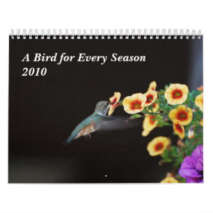 Ein Vogel während jeder Jahreszeit Kalender