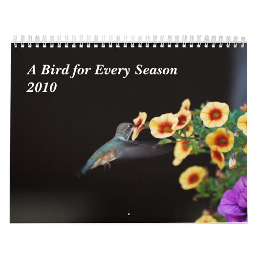 Ein Vogel während jeder Jahreszeit Kalender (Titelbild)