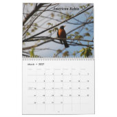 Ein Vogel während jeder Jahreszeit Kalender (Mär 2027)