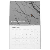 Ein Vogel während jeder Jahreszeit Kalender (Jan 2027)