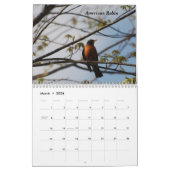 Ein Vogel während jeder Jahreszeit Kalender (Mär 2026)