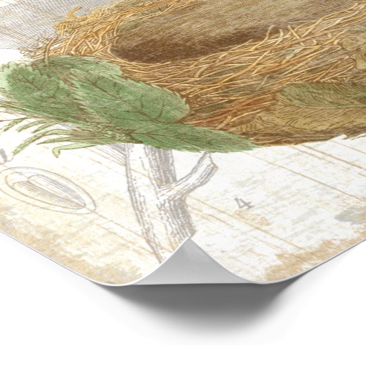 Ein Vogelnest mit einem braunen Ei Poster (Ecke)