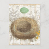 Ein Vogelnest mit einem grünen Ei Postkarte (Vorderseite)