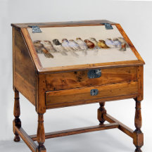 Ein Vogelpark (1880) von Hector Giacomelli