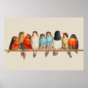 Ein Vogelrastplatz-Poster Poster