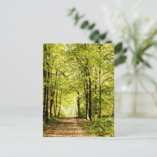 Ein von Blätter bedeckter Weg in einem Zauberwald Postkarte (Stehend Vorderseite)