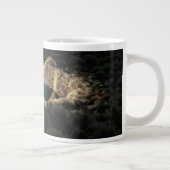 Ein von einer protoplanetären Diskette umgebener S Jumbo-Tasse (Rechts)