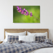 Ein von Lavendel Leinwanddruck (Insitu (Schlafzimmer))