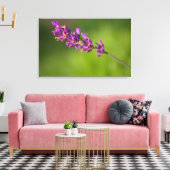 Ein von Lavendel Leinwanddruck (Insitu (Wohnzimmer))
