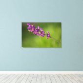 Ein von Lavendel Leinwanddruck (Insitu (Holzboden))