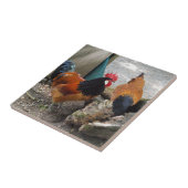 Ein Vorwerks-Hühnerpaar, Rooster und Hen-Eating Fliese (Seite)