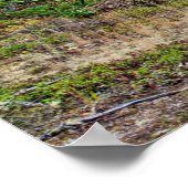 Ein waagerechtes Plakat auf der Straße hinunter (Ecke)