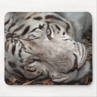 Ein wachsames Auge Mousepad