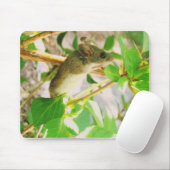 EIN WAHRES MOUSEPAD (Mit Mouse)