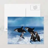 Ein Wal einer Welt Postkarte (Vorne/Hinten)