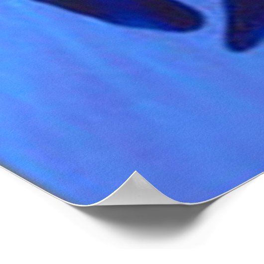 Ein Wal einer Zeit Poster (Ecke)