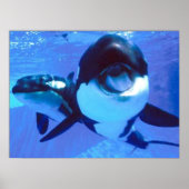 Ein Wal einer Zeit Poster (Vorne)