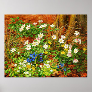 Ein Waldboden mit Anemonen und Violetten Poster