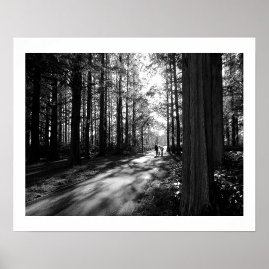 Ein Waldspaziergang: Mizumoto Park, Tokio Poster (Vorne)