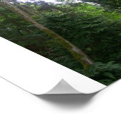 Ein Waldspaziergang Poster (Ecke)