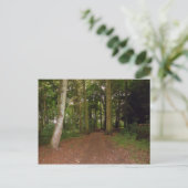 Ein Waldspaziergang. Postkarte (Stehend Vorderseite)
