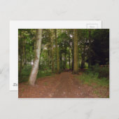 Ein Waldspaziergang. Postkarte (Vorne/Hinten)