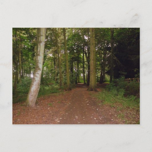 Ein Waldspaziergang. Postkarte (Vorderseite)